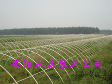 供應陜西西安大棚溫室大棚農業大棚骨架機