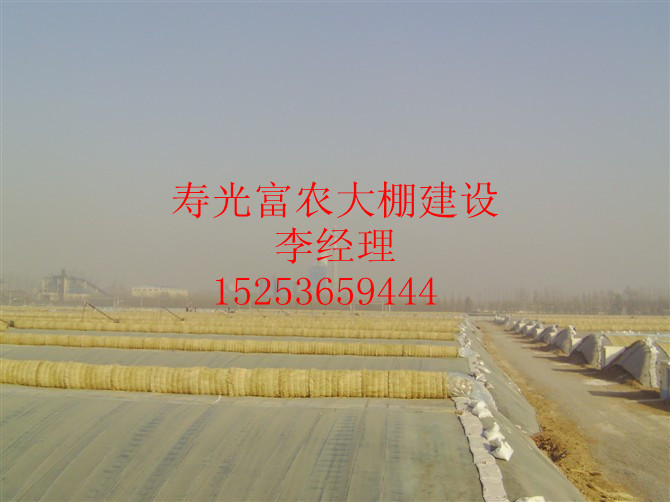   第五代有立柱式大棚建設|富農大棚建設|濰坊溫室大棚建造|山東大棚建設