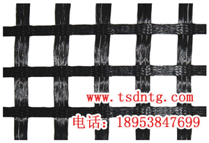供應(yīng)樟木頭鋼塑土工格柵，樟木頭鋼塑土工格柵，樟木頭鋼塑土工格柵銷售