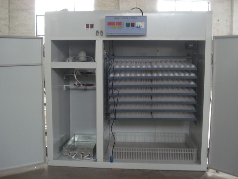 供應(yīng)澳洲鴕鳥孵化機(jī) 鴕鳥全自動孵化機(jī)器 微電腦孵化設(shè)備