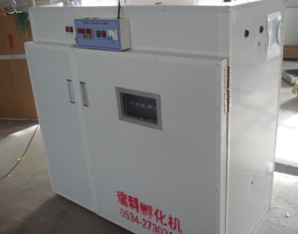 供應(yīng)長寧縣小型孵化機(jī)、高縣微型孵化機(jī)、江安縣家用孵化機(jī)