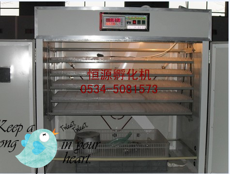 供應HY-10恒源牌孵化機器，全自動孵化機械