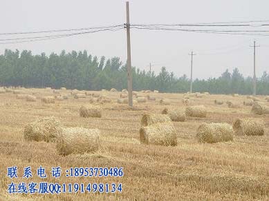秸稈顆粒機(jī),飼料加工設(shè)備,飼料機(jī)械,顆粒飼料機(jī)  專業(yè)生產(chǎn)廠家15 