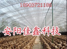 供應：鋼塑覆膜大棚骨架 溫室大棚骨架機  塑料大棚骨架