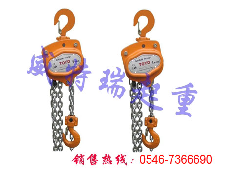 日本手動(dòng)葫蘆|toyo手拉葫蘆全國(guó)直銷(xiāo)