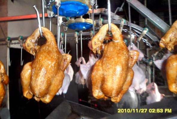 供應油炸蔬菜；連續(xù)式油炸機|諸城市鵬福特專業(yè)食品連續(xù)式油炸機