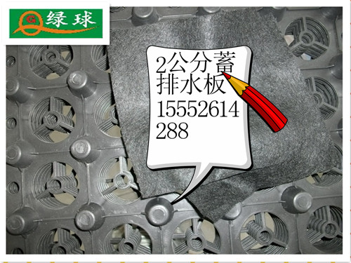 江蘇排水板…徐州排水板…連云港綠球排水板…排水板廠家