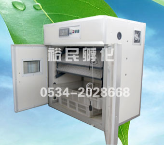 供應(yīng)；zp雞蛋孵化機(jī)/禽蛋孵化器/鳥(niǎo)蛋孵化箱