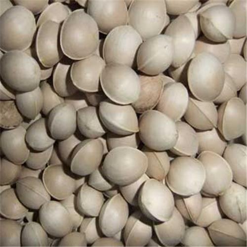 新采银杏种子等