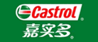 嘉實(shí)多冷凍機(jī)油SW100，Castrol Lcematic SW100 Series