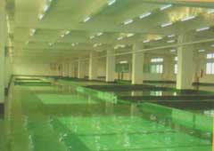 地坪漆|耐磨地板漆|防靜電地坪漆|工業地平|環氧樹脂地坪漆