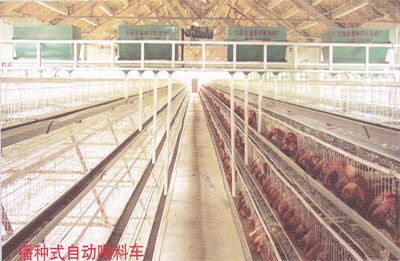 日照畜牧籠具，供應(yīng)畜牧籠具，畜牧籠具市場(chǎng)，畜牧籠具