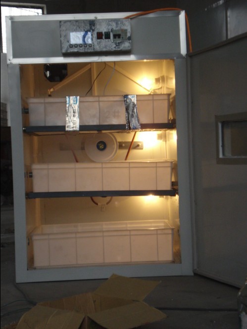 供應(yīng)義馬市小型孵化機(jī)、靈寶市微型孵化機(jī)、澠池縣家用孵化機(jī)