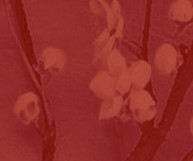 供應(yīng)沙發(fā)PU皮革、沙發(fā)PU皮革、磨砂PU皮革面料