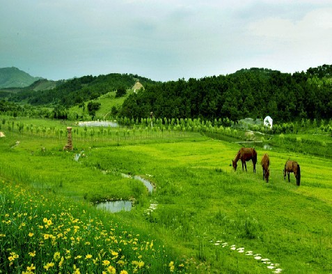 莊主旅游遠離都市繁囂，盡享天紫美景 體驗真人CS無窮樂趣