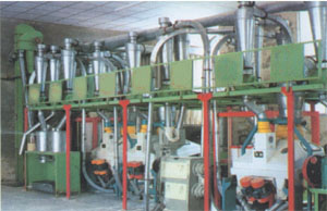 河南中科集團供應專利型全營養面粉機
