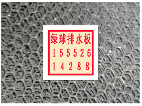 防水導(dǎo)水板，防水導(dǎo)水板價(jià)格，防水導(dǎo)水板廠家找德州綠球