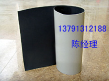 【防水毯廠家】德州防水毯報(bào)價(jià)，防水毯價(jià)格