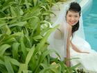 石家莊重陽婚介公司 婚姻介紹婚戀服務