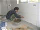 深圳專業二手房翻新 廚房衛生間改造 墻面批灰刷漆免費上門報價-深圳宏運裝飾有限公司