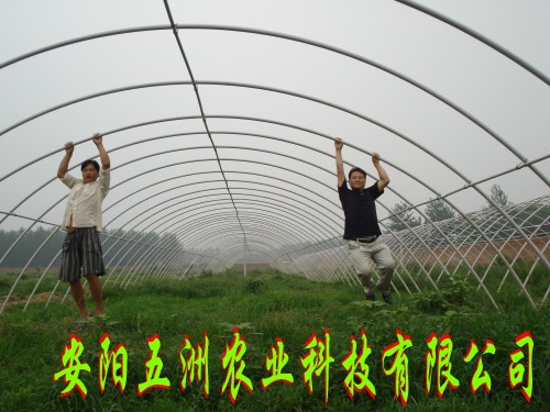 五洲大棚支架 大棚支架機