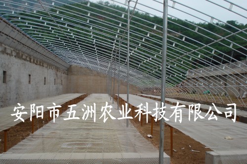 五洲大棚支架 大棚支架機