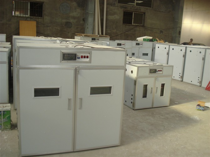 供應廣安 南充 閬中 華鎣市全自動孵化機 電腦孵化設備 孵化器 