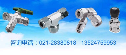 供應(yīng)進(jìn)口閥門|進(jìn)口不銹鋼管|螺紋轉(zhuǎn)換接頭.派克接頭