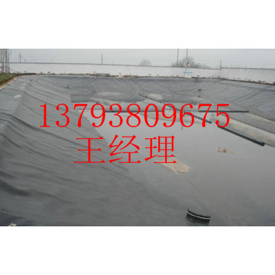 供應中國{zd0}防水毯基地訂購防水毯的低價技巧