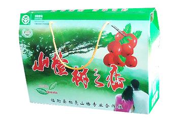 山東供應gd水果包裝箱 青州市鵬輝包裝制品有限公司