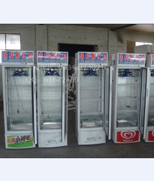 供應開平市爬行動物孵化機、鶴山市蜥蜴孵化機