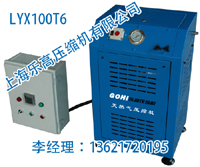 LYX500T30型壓縮天然氣設(shè)備壓縮天然氣設(shè)備廠家