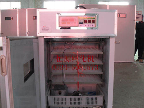 HY-1小型gd孵化機(jī)，雙溫節(jié)能孵化機(jī)器，恒源誠(chéng)招全國(guó)代理商