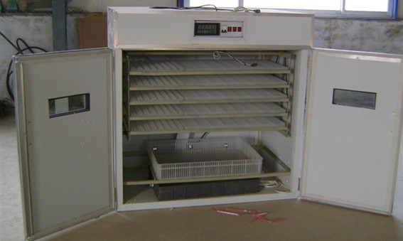 供應高品質多功能孵化機配件 孵化機控制器 孵化設備配件