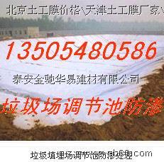 泰安金馳面向全國供應(yīng)土工材料土工膜|防滲膜 