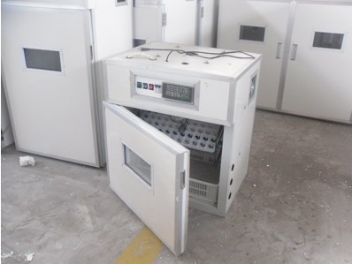 供應珍珠雞全自動孵化機 鳥蛋孵化設備 雞蛋孵化機器