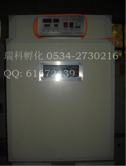 供應廣東烏龜孵化機、廣州市蜥蜴孵化機