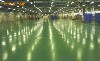 供應煙臺耐磨地坪漆|環氧地坪涂料|防靜電地坪漆28
