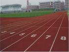 杭州 pvc運動地板 pvc運動地膠 傲人體育