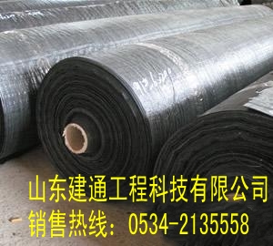 復(fù)合土工布{zx1}出廠價(jià)格,復(fù)合土工布專業(yè)生產(chǎn)供應(yīng)基地