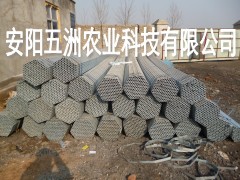 大棚鋼管廠 鋼管鍍塑大棚 熱鍍鋅鋼管大棚價格