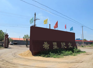 山東雞糞公司/干雞糞/北京雞糞顆粒/發(fā)酵雞糞價格