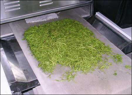  供應中藥材烘干機|藥材烘干機|中藥材烘干機廠家|濰坊臨朐信達制造商