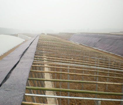 大棚卷簾機價格|大棚卷簾機|壽光金田大棚卷簾機