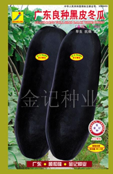 雜交一代廣東良種黑皮冬瓜F991-50