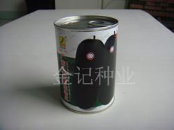 廣東良種黑皮冬瓜種子991-100