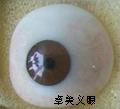 專業(yè)定做安裝假眼