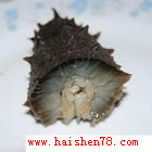 供應乳山有‘海參{zw}’稱號的刺參，威海口感適中的高壓即食海參，威海市富洋島海參批發零售