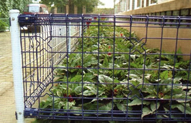 供應獸畜圍欄|花木圍欄|通道圍欄