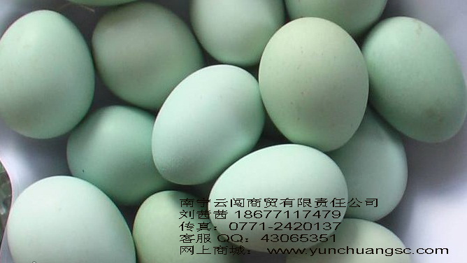 供應(yīng)桂林貴港玉林特種烏雞蛋|南寧云闖商貿(mào)